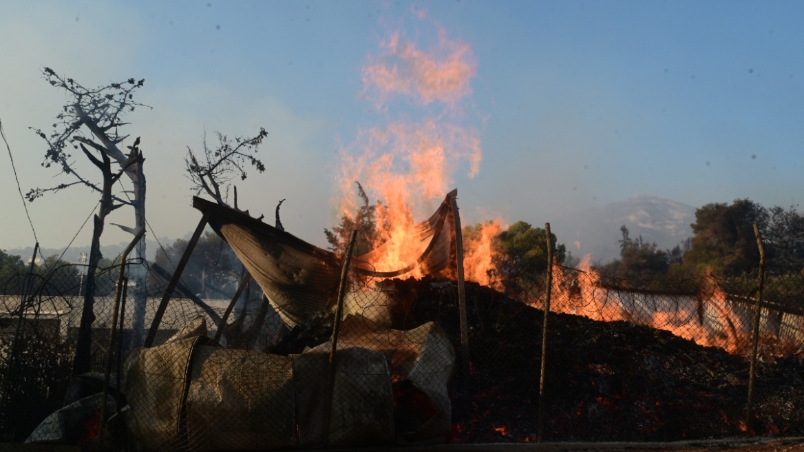 Φωτιά στην Αττική: Συγκροτούνται Επιτροπές Κρατικής Αρωγής για την αποζημίωση επιχειρήσεων 