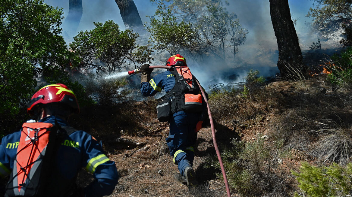 Φωτιές στην Αττική: Βίντεο, φωτογραφίες και ρεπορτάζ από τις μάχες με τις πυρκαγιές - Όλα όσα έγιναν