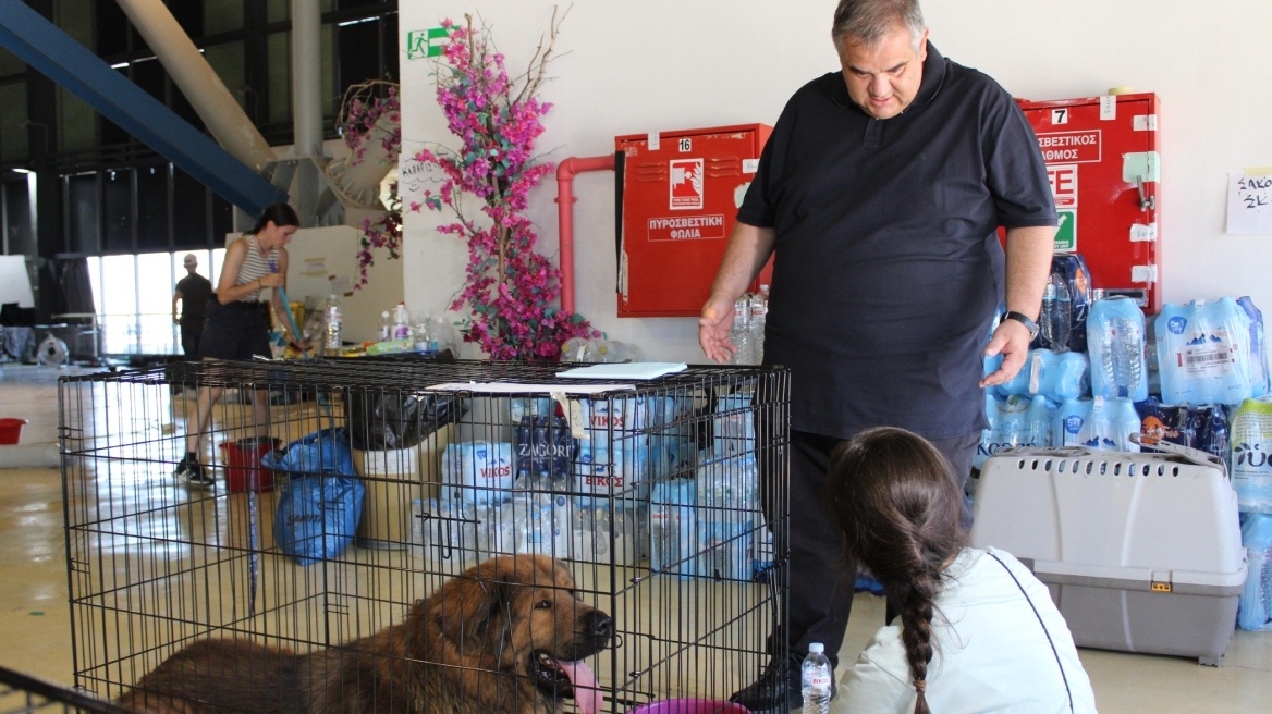 Υπουργείο Εσωτερικών: Ο Βασίλης Σπανάκης επισκέφθηκε χώρο φιλοξενίας ζώων στο Γαλάτσι