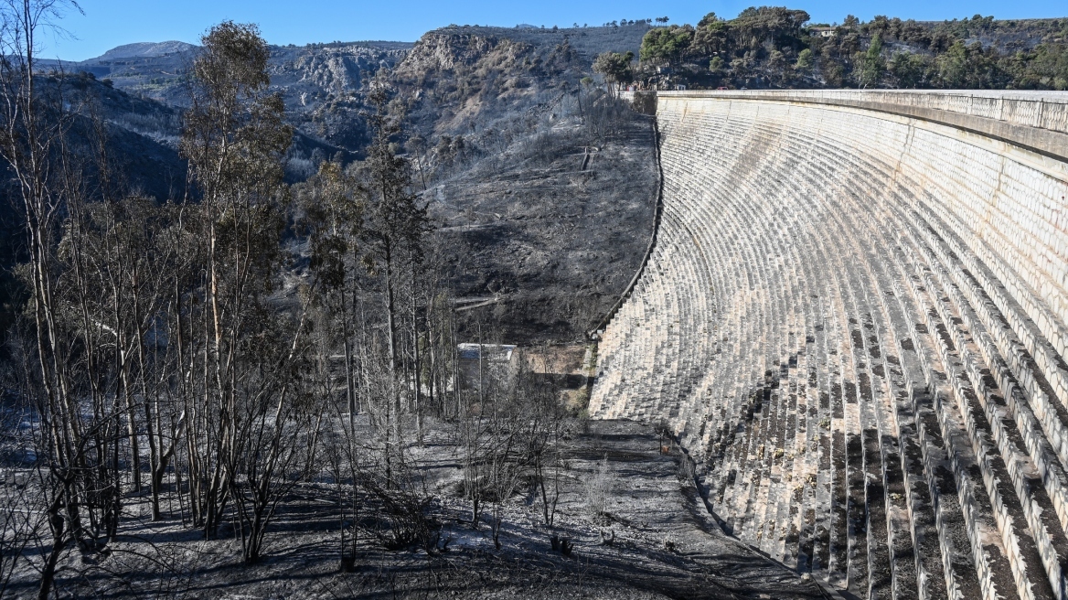 Φωτιά στην Αττική - ΕΠαΔαΠ: Κάηκε περίπου 10% υψηλού δάσους 