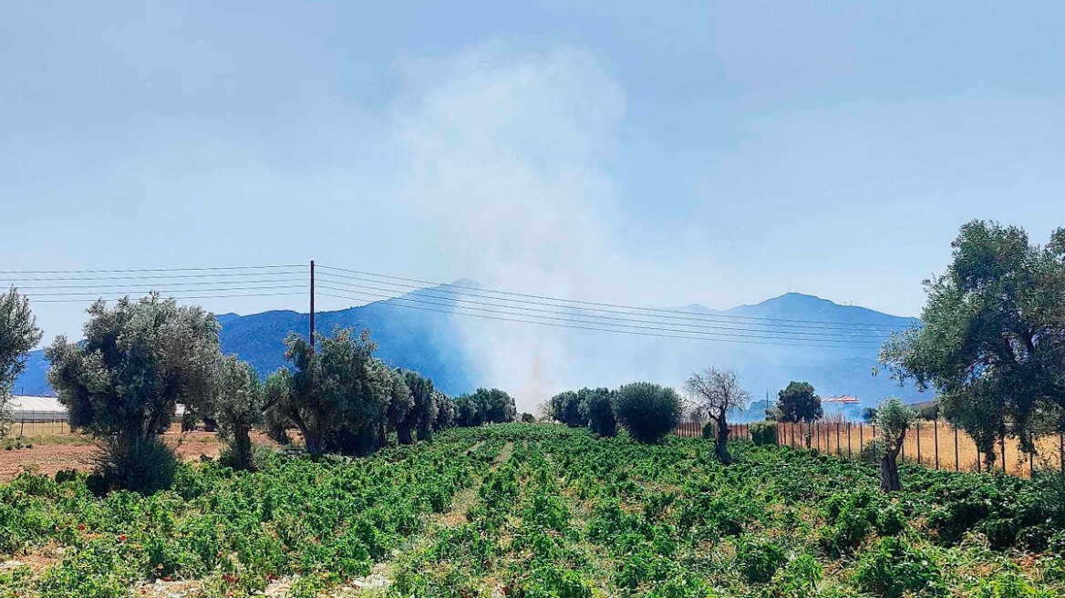 Μόνο καπνοί από τη φωτιά σε χορτολιβαδική έκταση στο Μαραθώνα - Σηκώθηκαν και εναέρια μέσα 