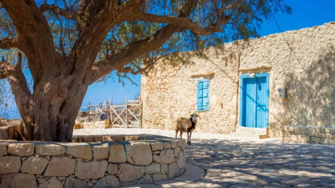 Γαύδος: Βγήκαν τα αποτελέσματα για τα κρούσματα γαστρεντερίτιδας - Τι έδειξαν