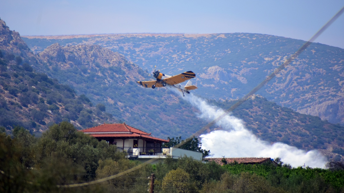 Ελεγχόμενη η φωτιά σε δασική έκταση στη Φθιώτιδα - Τραυματίστηκε ελαφρά ένας πυροσβέστης