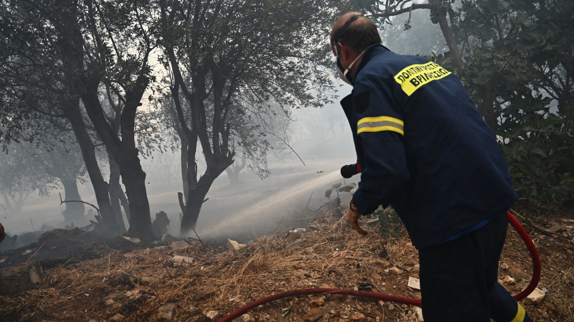 Συνελήφθη άνδρας για πρόκληση πυρκαγιάς από πρόθεση σε δασική έκταση στα Χανιά