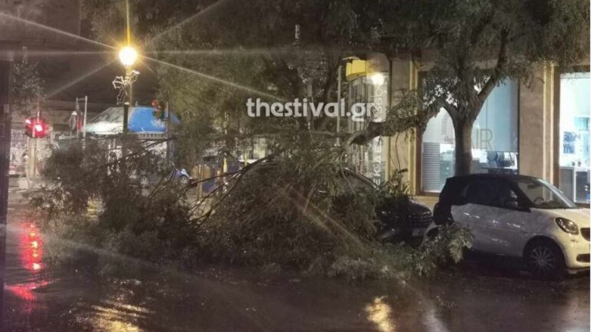 Θεσσαλονίκη: Έπεσαν δέντρα από το ισχυρό μπουρίνι που σάρωσε την πόλη - Δείτε βίντεο, φωτογραφίες