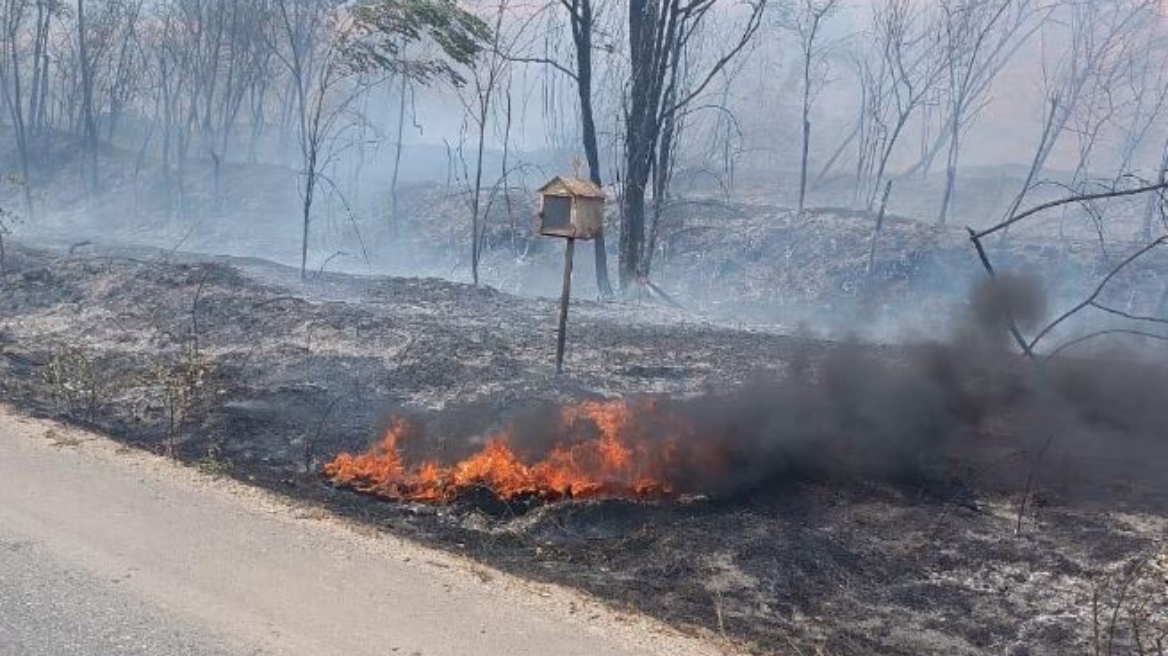 Οριοθετήθηκε η φωτιά που ξέσπασε από κεραυνό έξω από την Καλαμπάκα - Δείτε φωτογραφίες