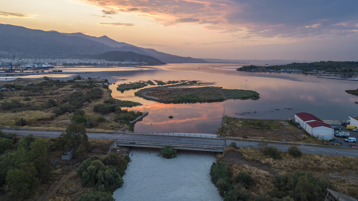 Σε ποιες παραλίες του Βόλου συνιστάται η αποφυγή κολύμβησης λόγω των νεκρών ψαριών