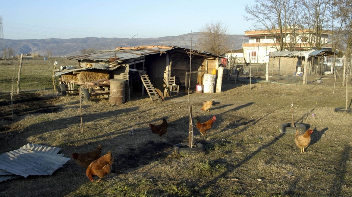 Βόλος: Συνταξιούχος που ζει σε κοτέτσι για να μην έχει επαφή με σύζυγο και κόρη, τις απείλησε «θα σας θάψω»