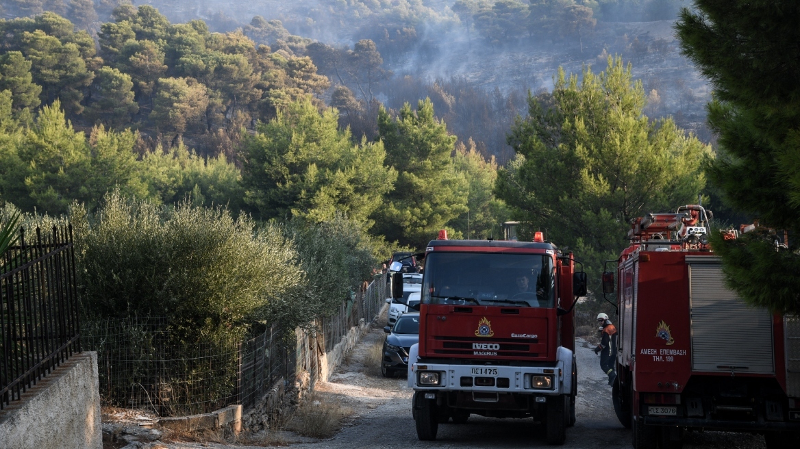 Νέα Μάκρη: Συναγερμός στην Πυροσβεστική για φωτιά σε σπίτι