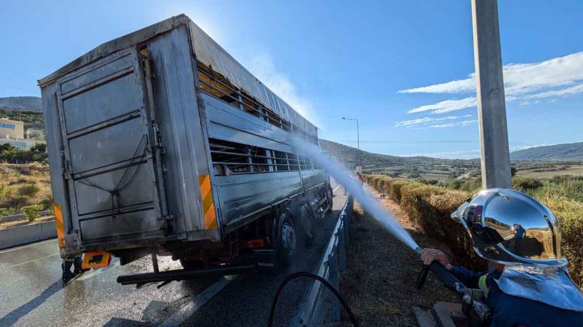 Ιόνια Οδός: Φωτιά πήρε νταλίκα με ζώα κοντά στην Αμφιλοχία