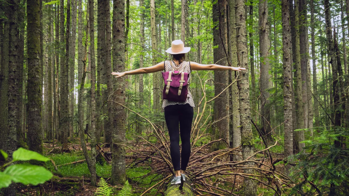 Forest bathing: Όλα τα οφέλη μιας φθινοπωρινής βόλτας στη φύση