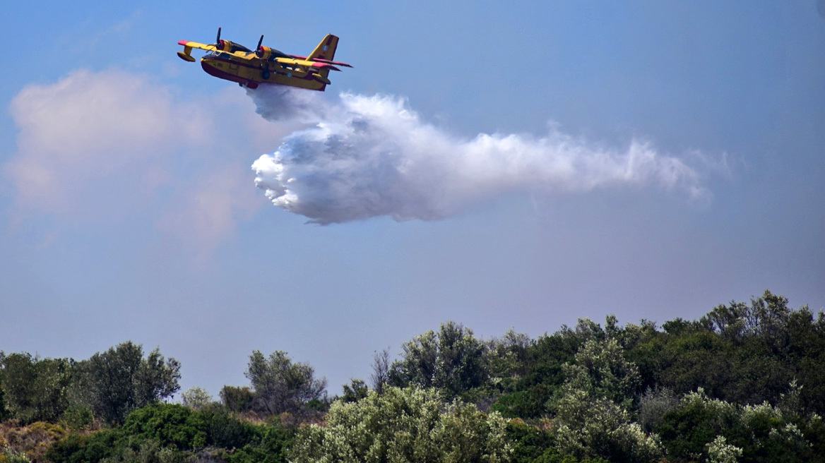 Φωτιά σε δασική έκταση στην Ξάνθη - Στη μάχη πέντε εναέρια μέσα