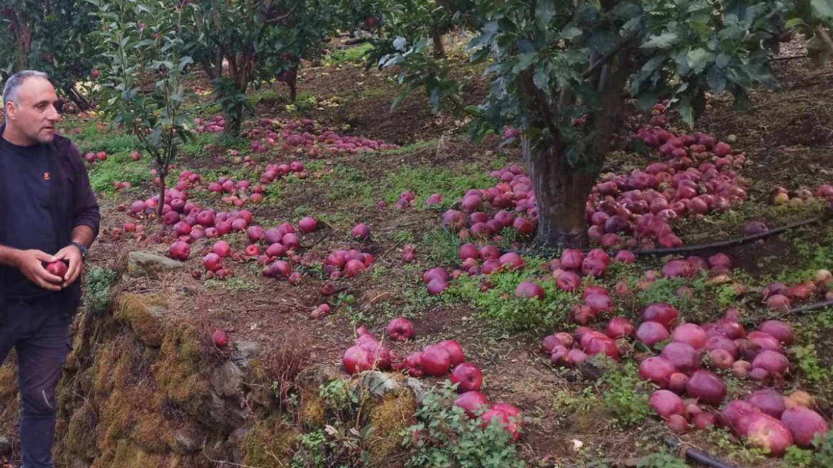 Η κλιματική αλλαγή απειλή για τις καλλιέργειες του Θεσσαλικού κάμπου