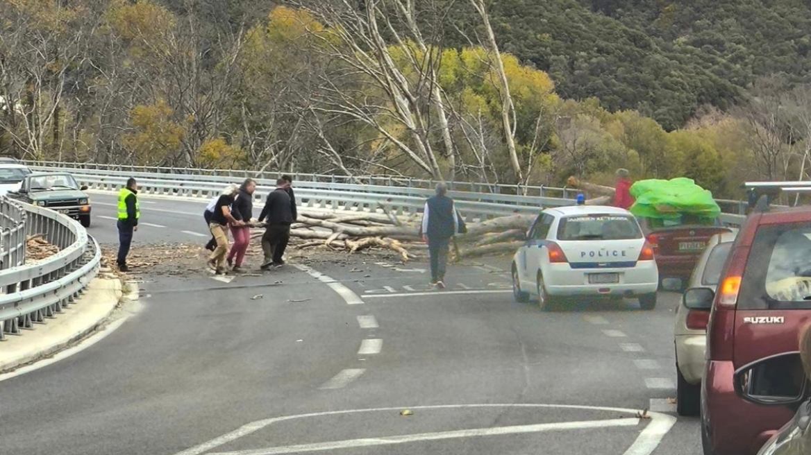 Λάρισα:  Κατέρρευσε δέντρο στην παλιά εθνική οδό στα Τέμπη