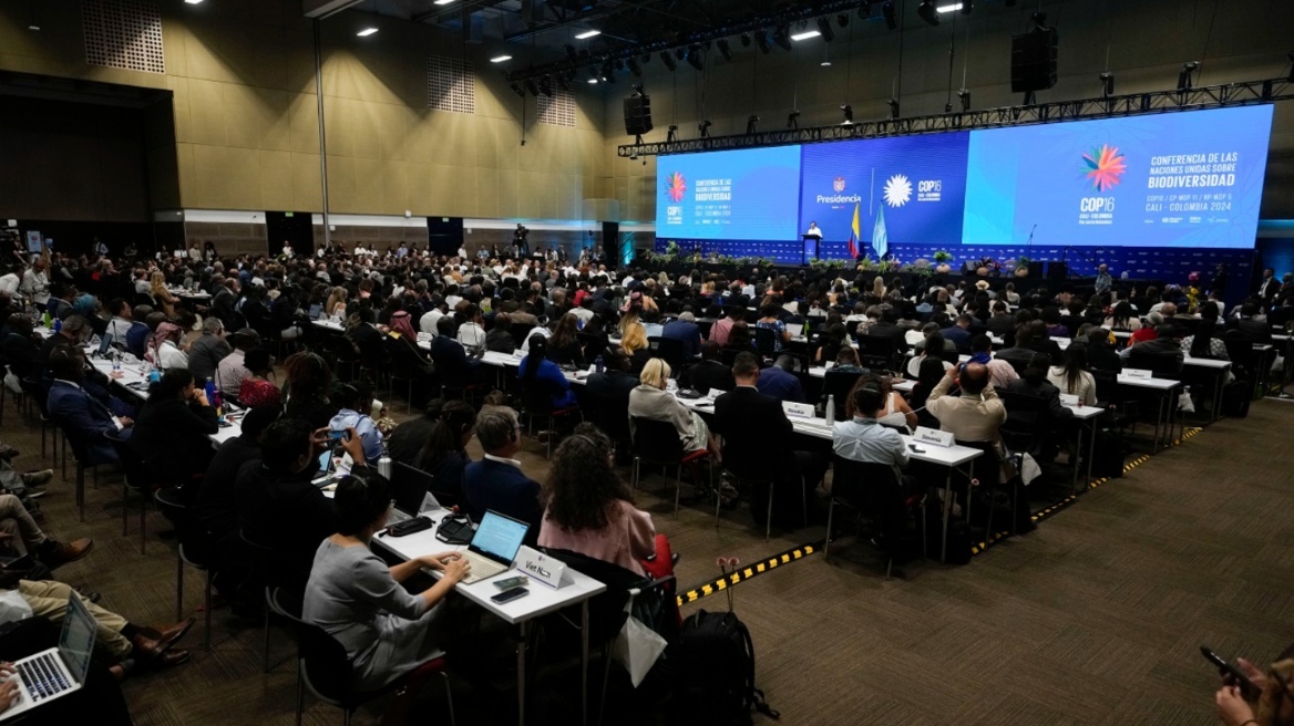 COP16: Ο ΓΓ του ΟΗΕ καλεί να γίνουν μεγάλες επενδύσεις για να προστατευτεί η φύση 