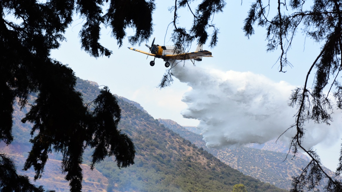 Φωτιά τώρα στο Πετρωτό Αχαΐας - Καίει σε δασική έκταση