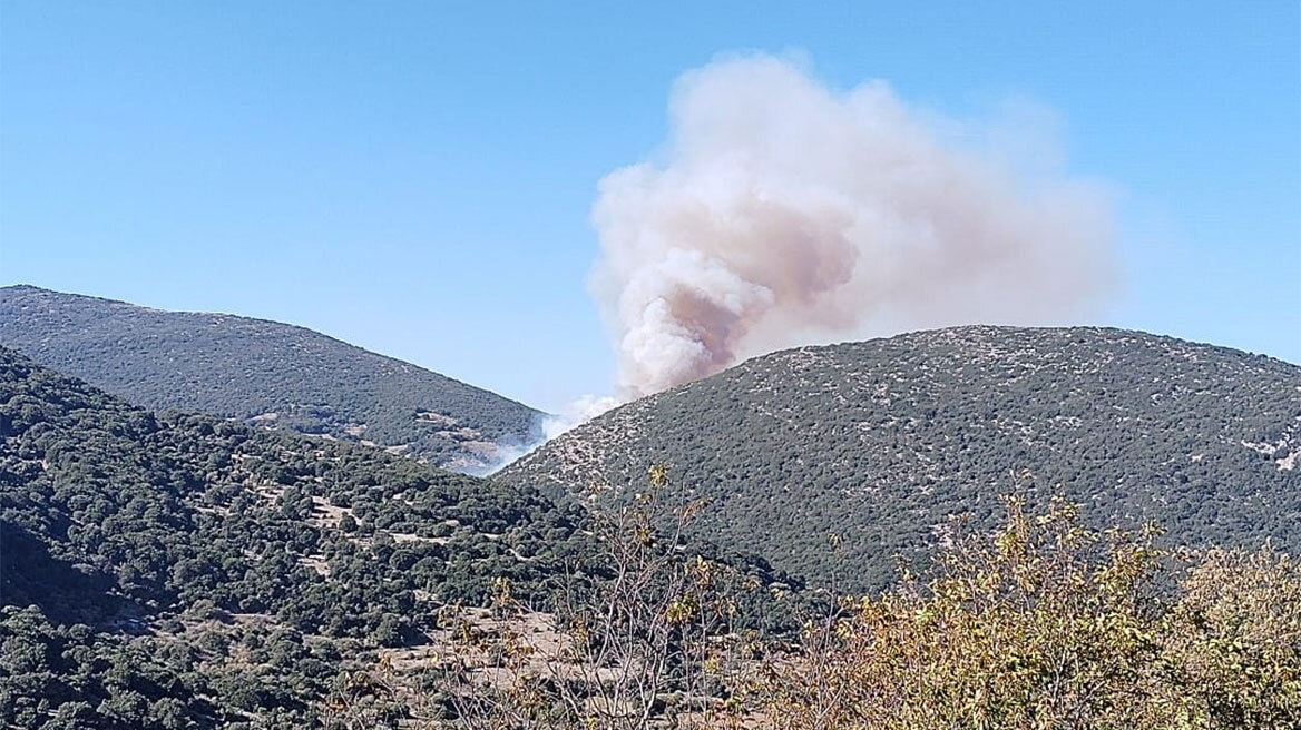 Φωτιά τώρα στην Αγία Παρασκευή Πετρωτού Αχαΐας - Σηκώθηκαν και εναέρια μέσα