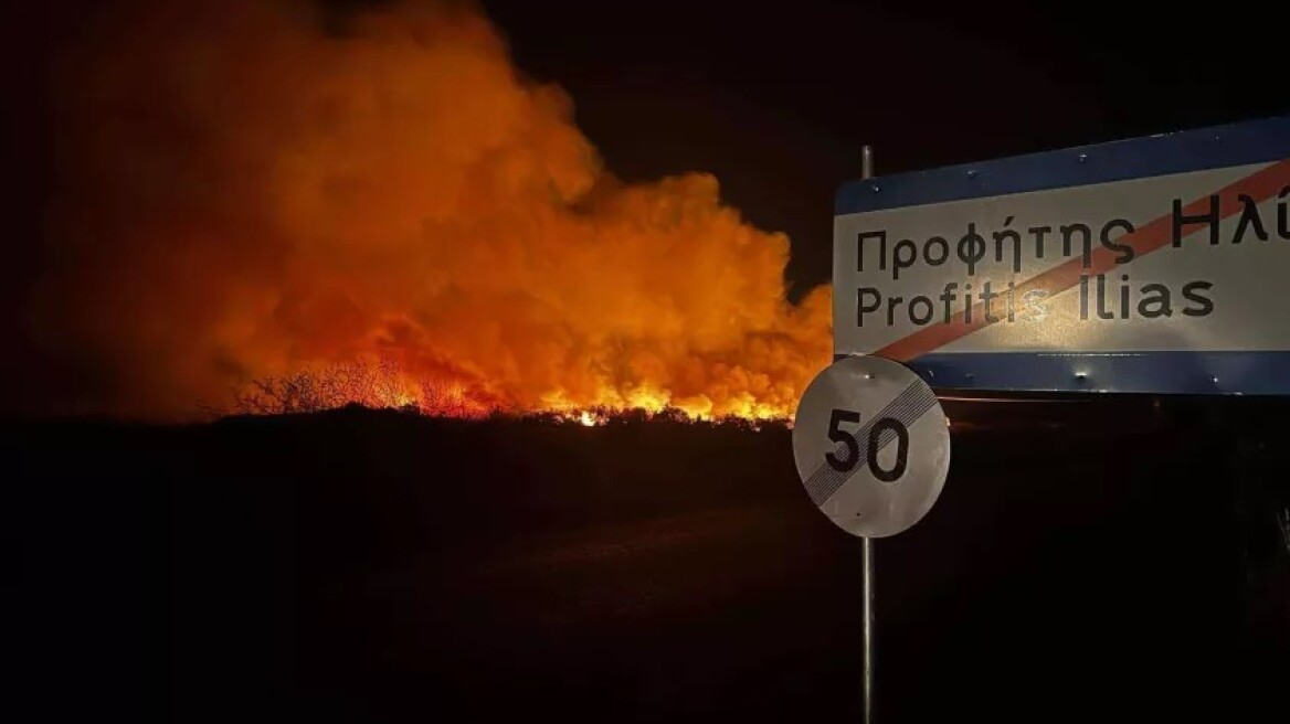 Φωτιά στον Προφήτη Ηλία της Ροδόπης - Τέθηκε υπό έλεγχο