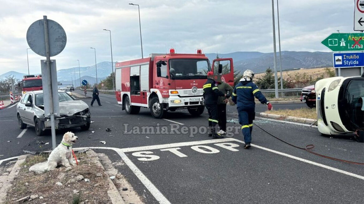 Λαμία: Νεκρός 54χρονος σε τροχαίο - Το σκυλάκι του διασώθηκε και περίμενε τον ιδιοκτήτη του δίπλα στο τρακάρισμα