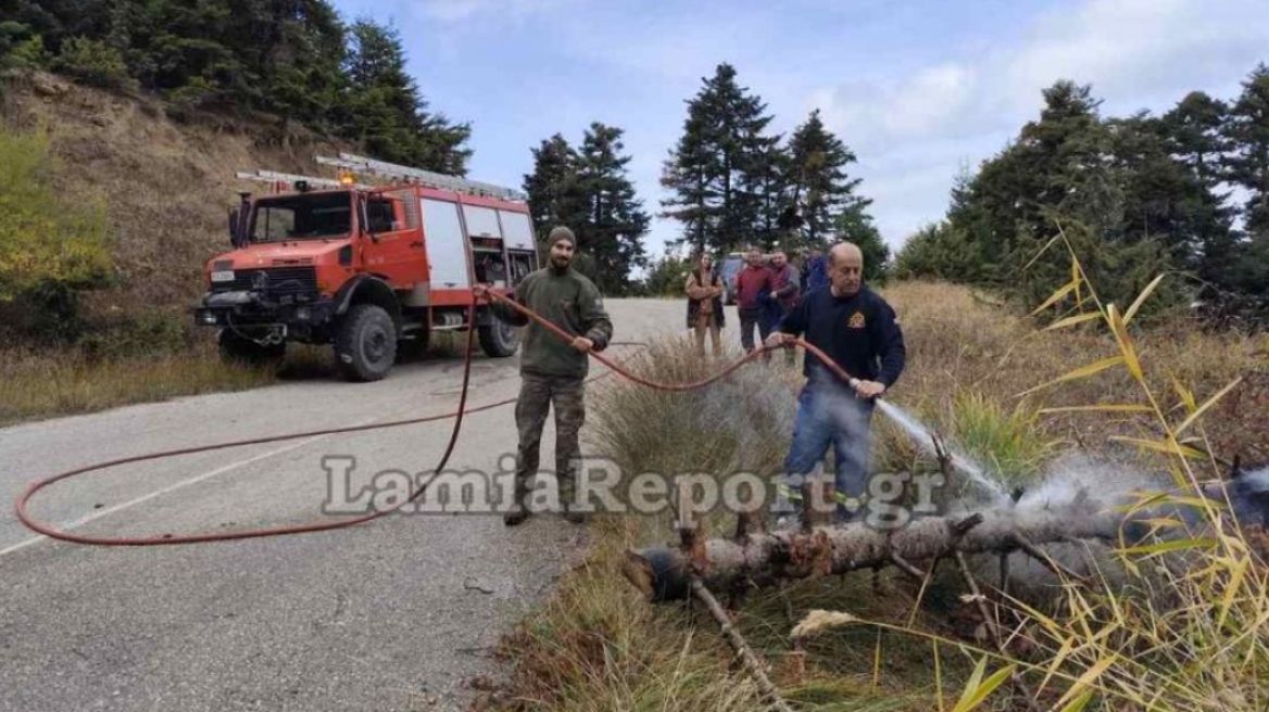 Λαμία: Έκοβαν παράνομα ξύλα και έριξαν έλατο πάνω σε καλώδια υψηλής τάσης, προκαλώντας φωτιά