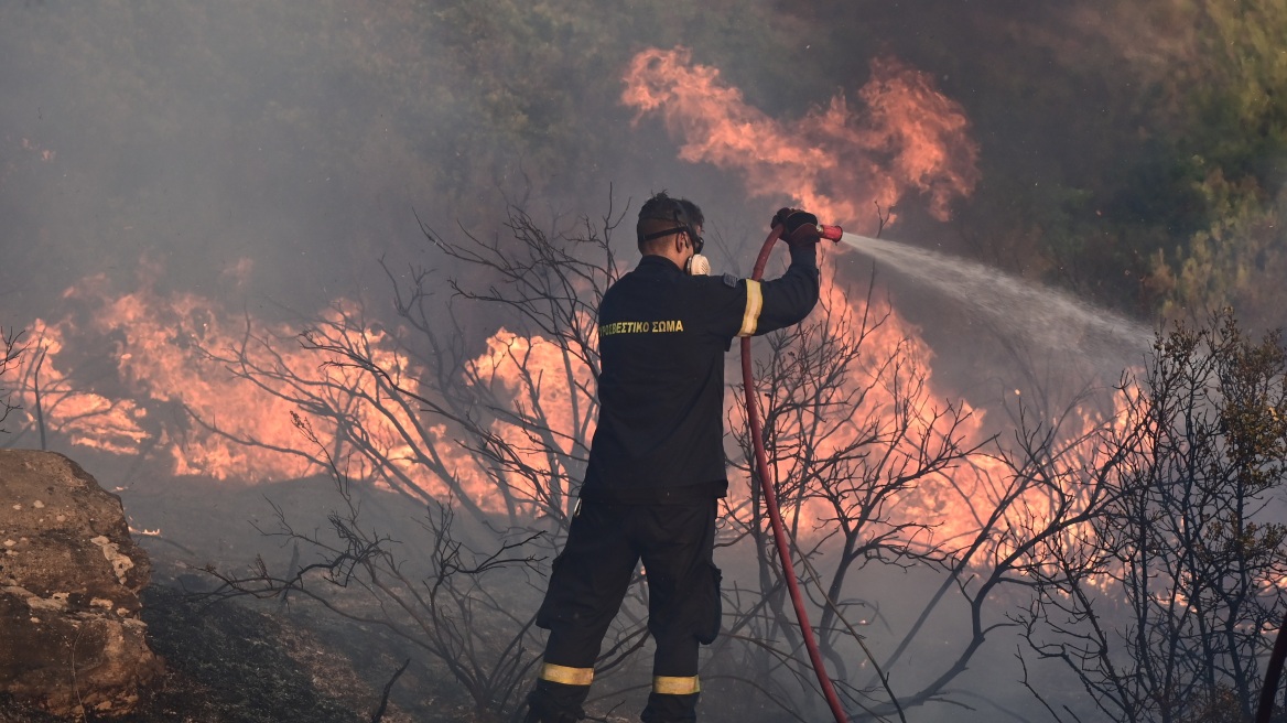 Λαγκαδάς: Τραγωδία σε κατάσβεση φωτιάς - Πέθανε 55χρονος πυροσβέστης