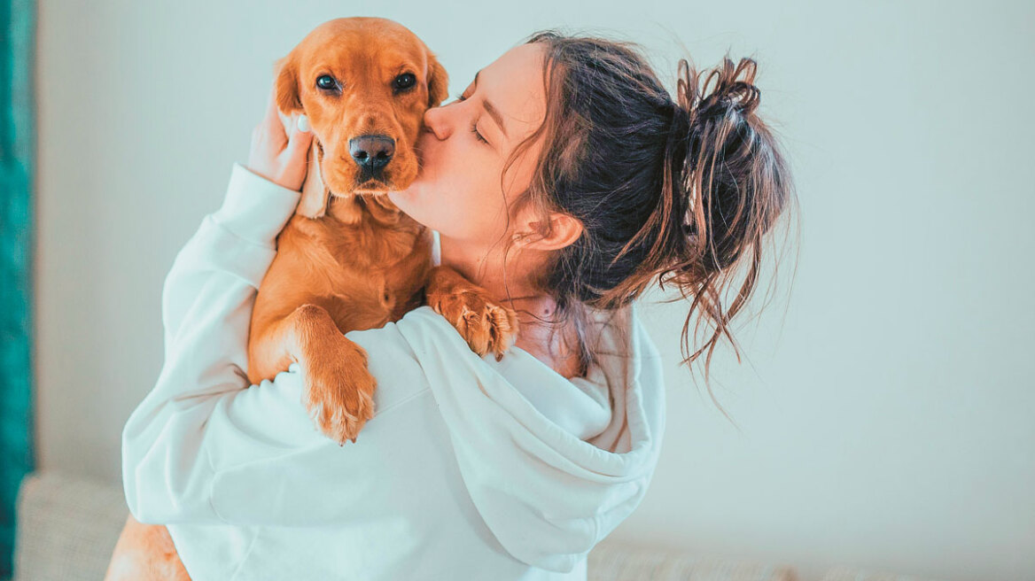  Έρευνα: Η Ελλάδα έγινε pet friendly - Πώς η Covid19 μας έκανε... ζωόφιλους