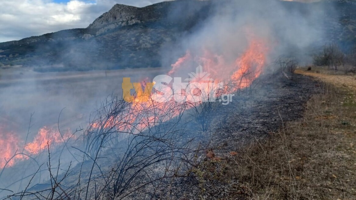 Υπό μερικό έλεγχο η πυρκαγιά στον Αλίαρτο Βοιωτίας