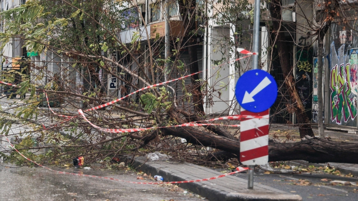 Κακοκαιρία Bora: 24 ώρες χωρίς ρεύμα κάποια σπίτια στην Θεσσαλονίκη - Πάνω από 1.000 κοπές δέντρων στην Κεντρική Μακεδονία