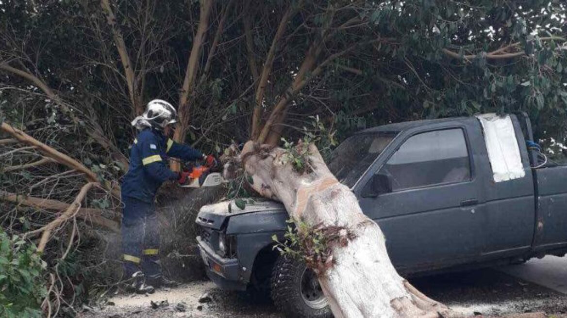 Δέντρο έπεσε σε αγροτικό όχημα στο Ηράκλειο