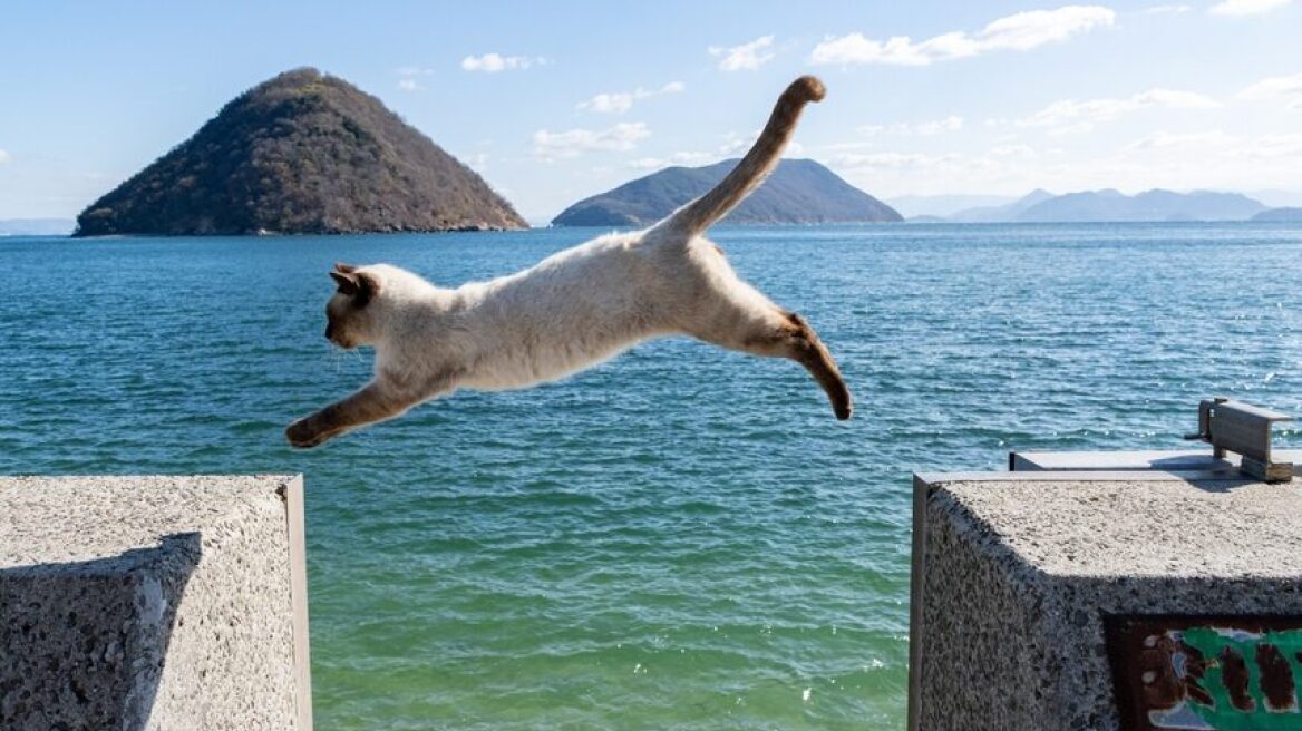 Κίνα: Ρομπότ που εξερευνά αστεροειδείς βασίστηκε σε αυτόν τον εντυπωσιακό μηχανισμό των γατών