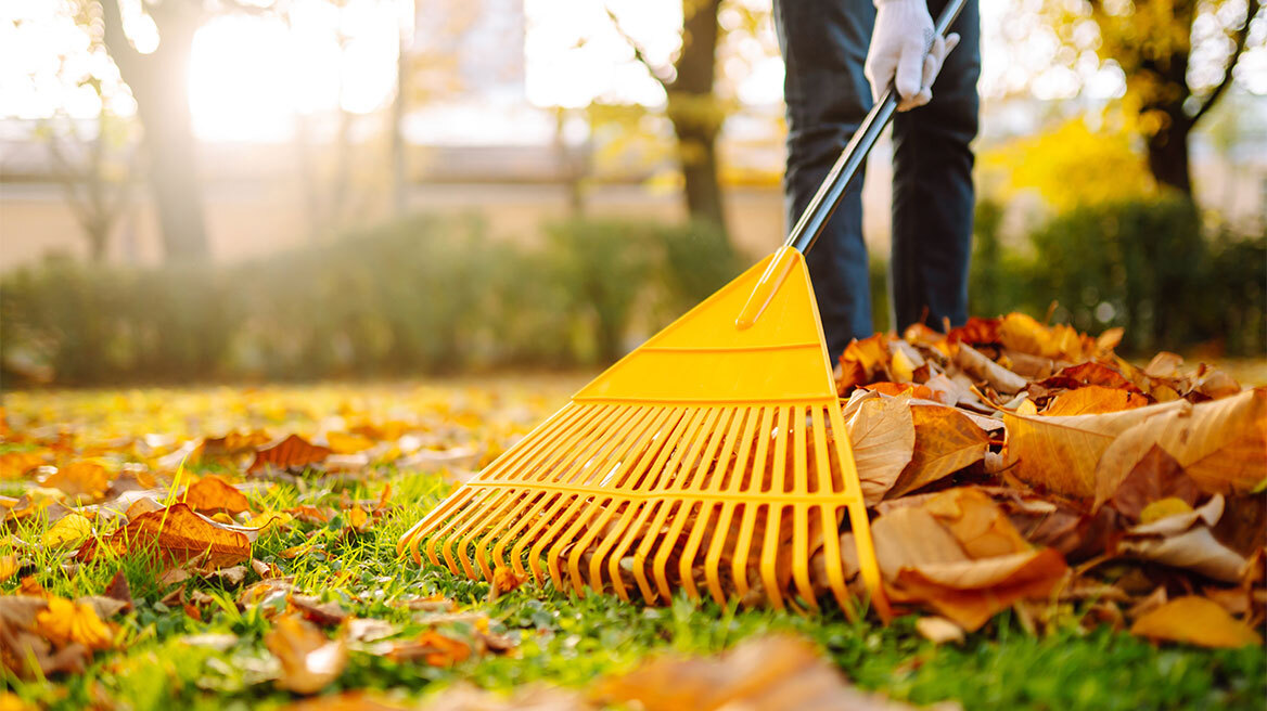 7 συμβουλές για την χειμερινή φροντίδα του κήπου σας