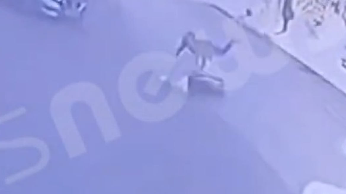 Τροχαίο με έναν τραυματία στον Πύργο - Η στιγμή της σύγκρουσης