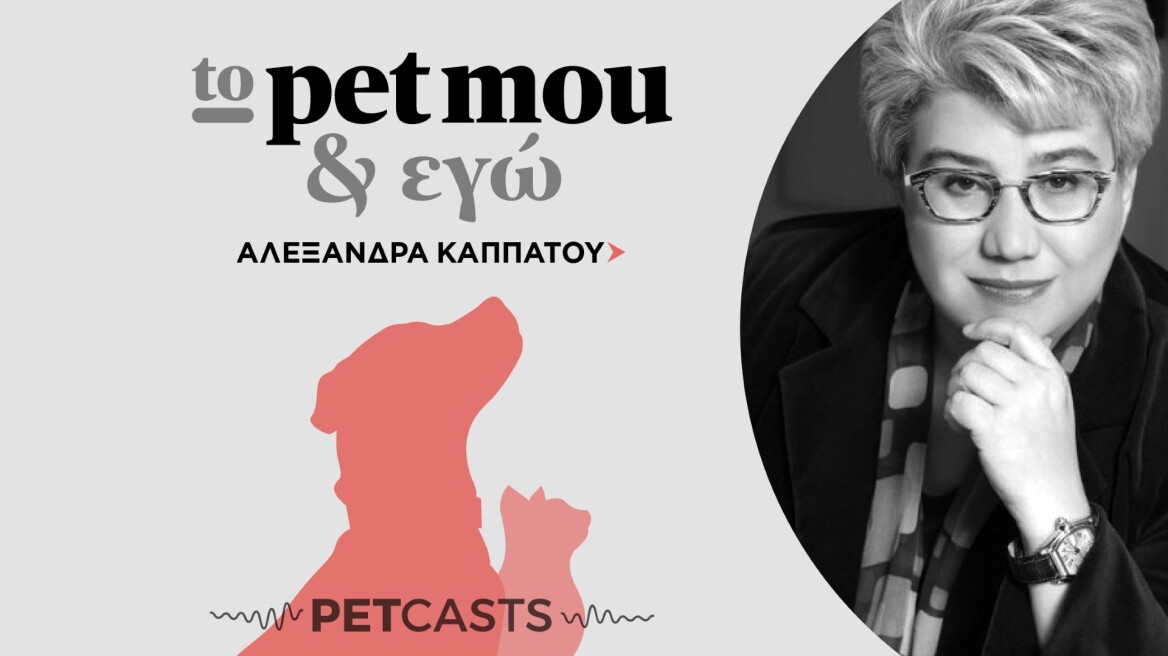 Podcast: Γιατί ο Άγιος Βασίλης δεν φέρνει κατοικίδια και πώς να το πείτε στα παιδιά