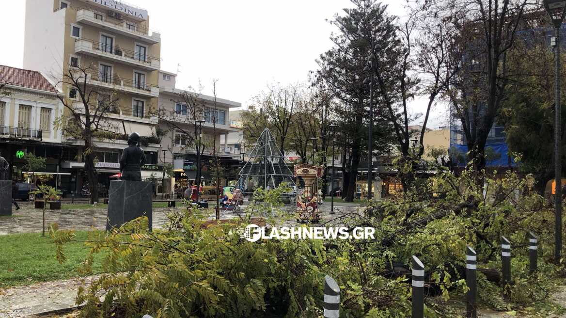 Χανιά: Πτώσεις δέντρων και κατολισθήσεις από την κακοκαιρία Elena - Δείτε φωτογραφίες