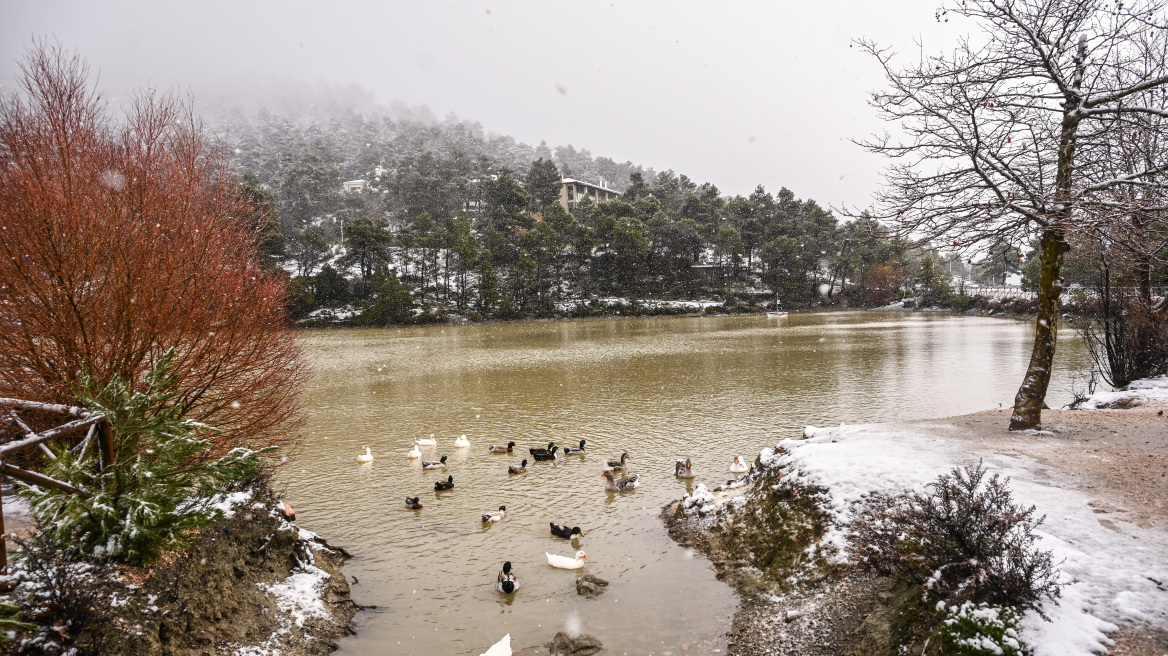 Meteo: Στους 1,1 °C η ελάχιστη θερμοκρασία το πρωί του Σαββάτου - Οι 8 περιοχές με το περισσότερο κρύο