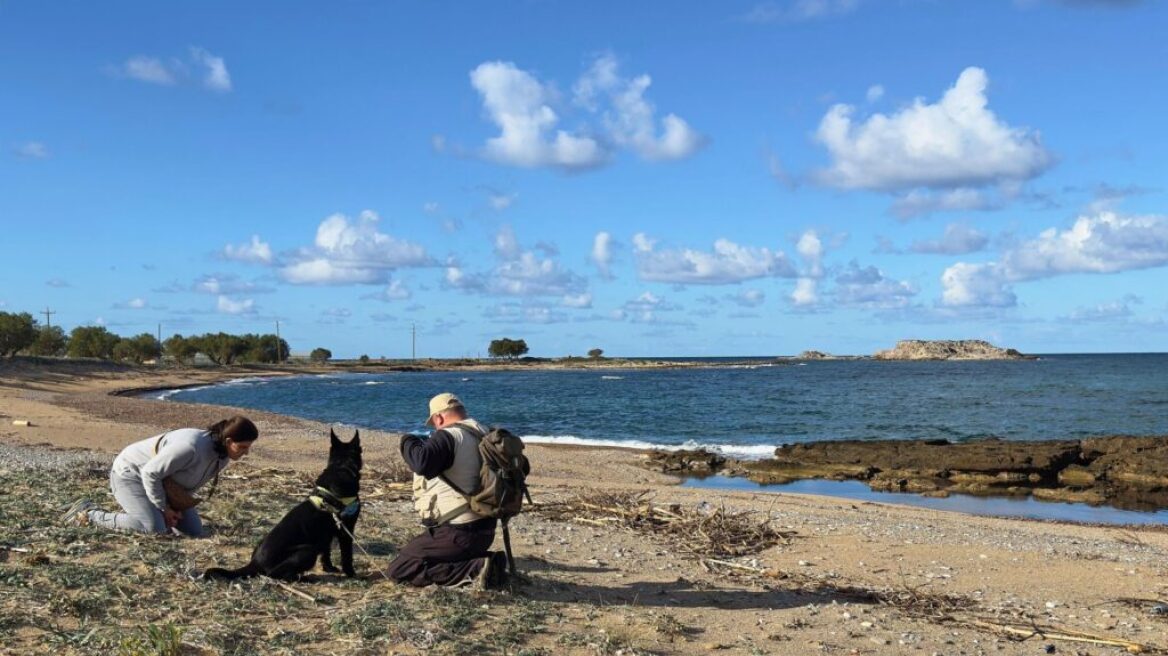 Ασυνείδητοι σκόρπισαν φόλες θανατώνοντας τέσσερα σκυλιά στα Φαλάσαρνα