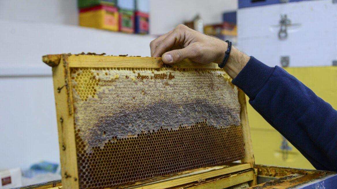 Δοκιμάζοντας ανθόμελο και μέλι καστανιάς στην Καστοριά