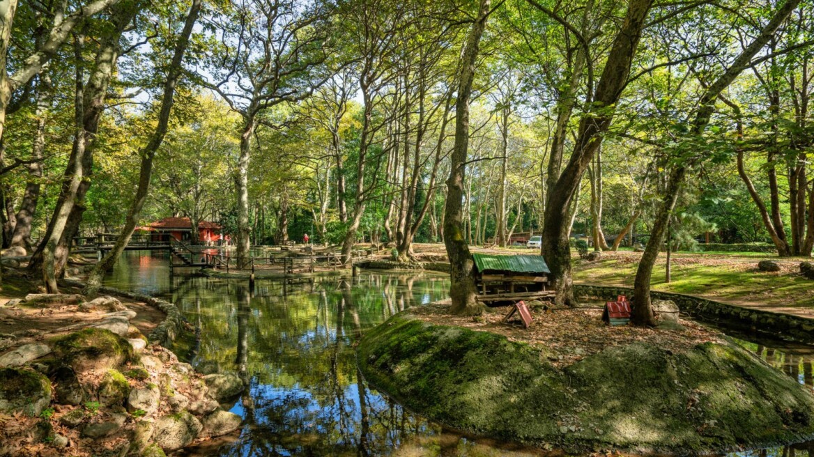 Άλσος Αγίου Νικολάου: Το ειδυλλιακό αξιοθέατο της Νάουσας -Πόλος αναψυχής για κατοίκους και επισκέπτες