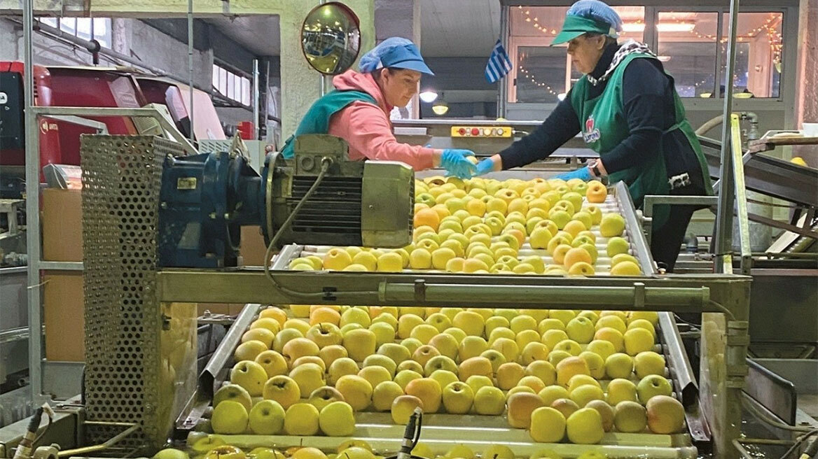 Αγροτικός Συνεταιρισμός Ζαγοράς: Ένα μοναδικό εγχείρημα με ιστορία 108 ετών