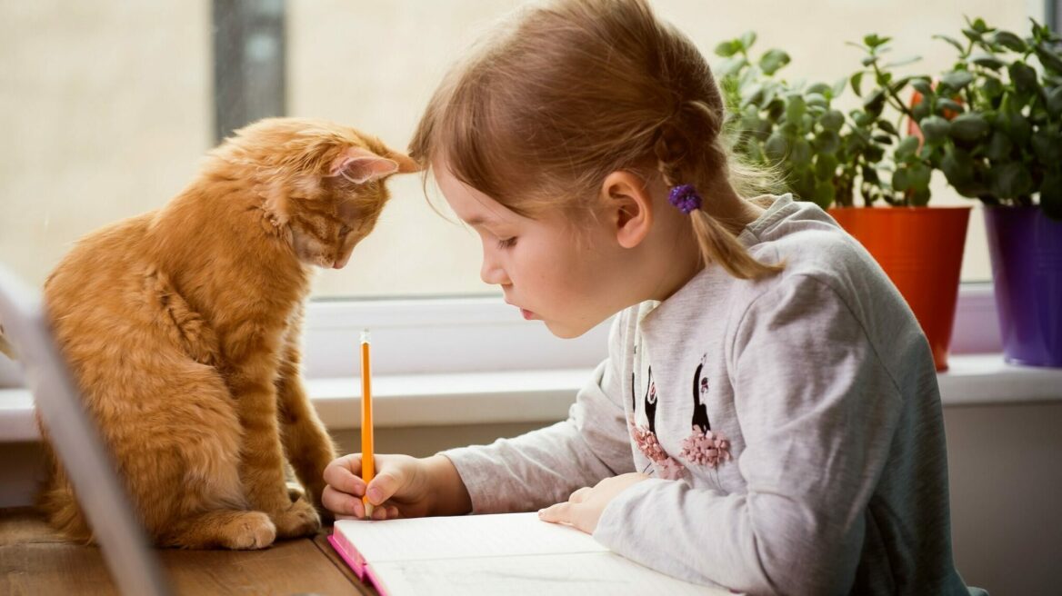 Πώς να μάθετε στο παιδί σας να αλληλεπιδρά σωστά με τις γάτες