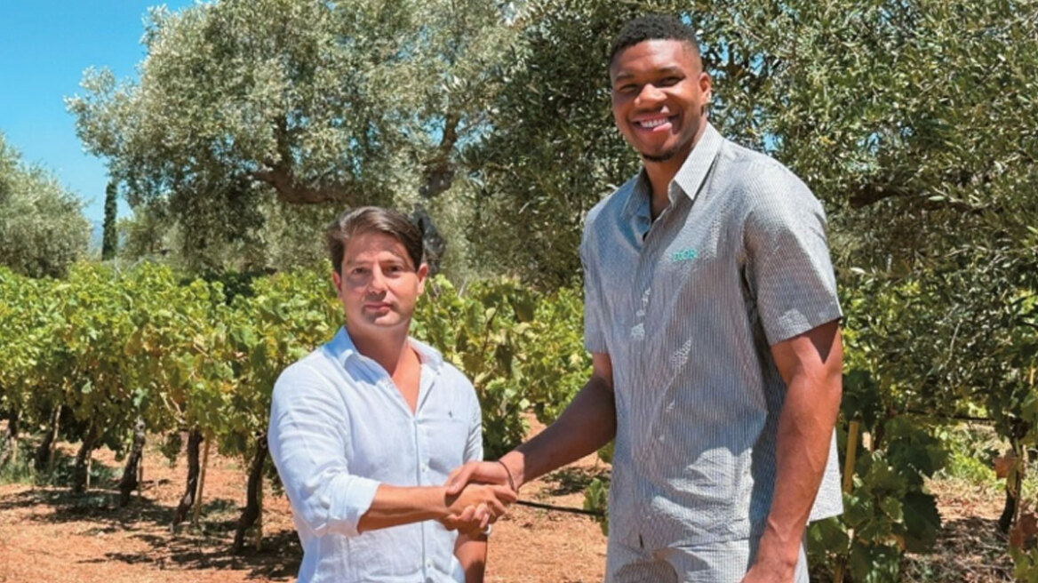 Ηλίας Γεωργιάδης (Sterner Stenhus): Το σχέδιο για να γίνει η «Ελληνικά Οινοποιεία» leader στο κρασί