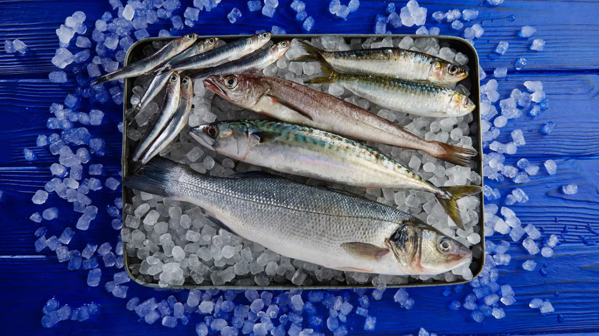 Τα «χρυσά αυγά» αυτού του ψαριού επιταχύνουν τον μεταβολισμό, χαρίζουν κοφτερό μυαλό και νικούν τη γήρανση