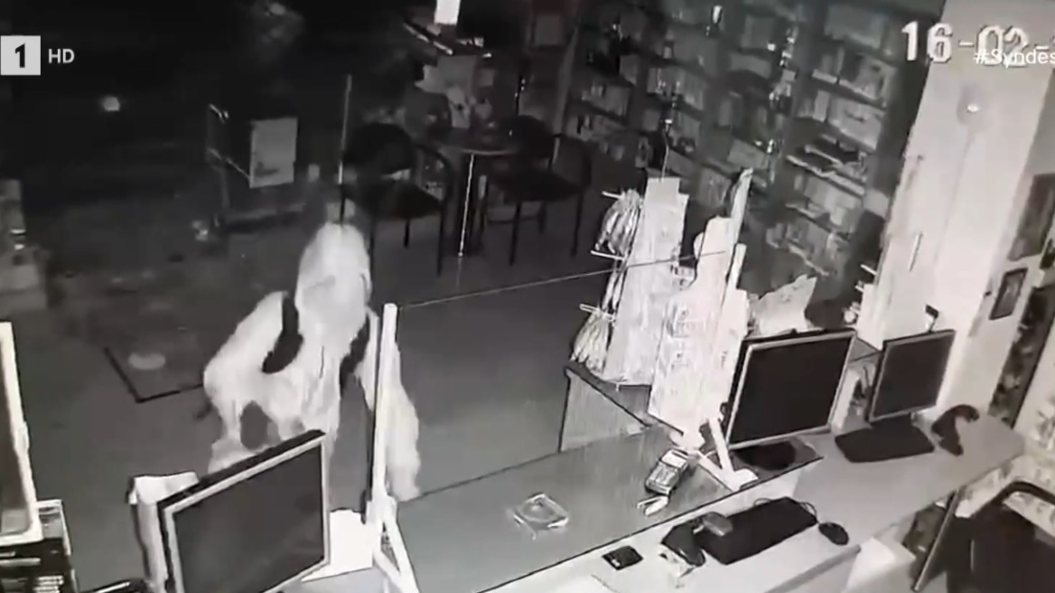 Θεσσαλονίκη: Η στιγμή που διαρρήκτες μπαίνουν σε φαρμακεία - Πήραν €40 και προκάλεσαν ζημιά €600