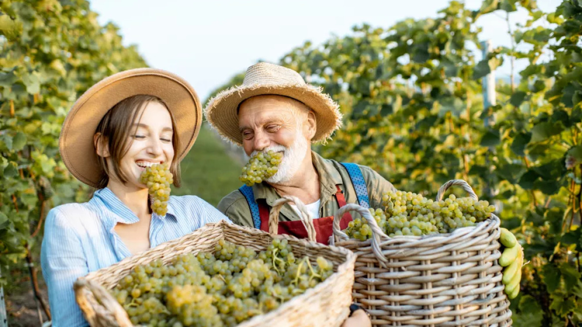 Το ζουμερό φρούτο που κρατά νέους τους μυς – Ποιοι ωφελούνται περισσότερο