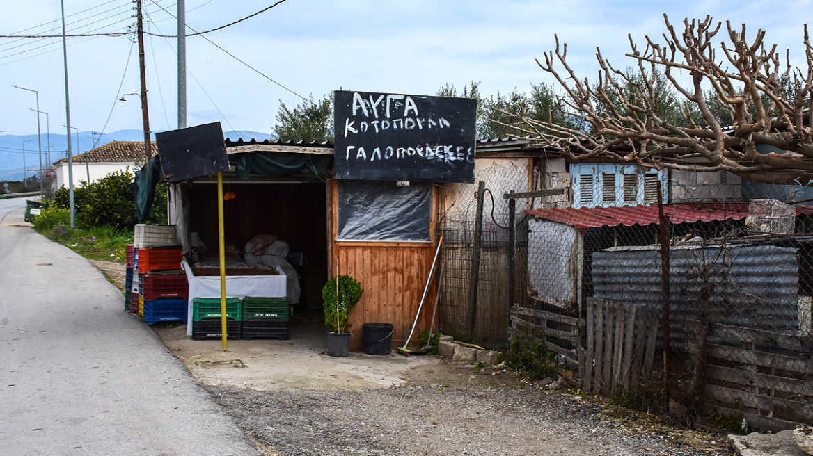 Ληστής έπεσε νεκρός μετά από συμπλοκή με 72χρονη σε χωριό του Ναυπλίου