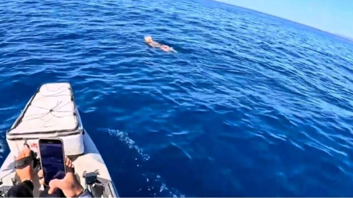 Το Λιμενικό διέσωσε σκύλο που βρέθηκε στη θάλασσα ανοιχτά από το Κατάκολο