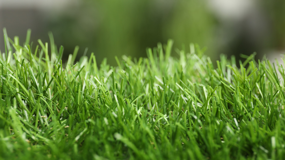 Touch Grass: Η εφαρμογή που σε «αναγκάζει» να βγεις έξω και να σταματήσεις το σκρολάρισμα