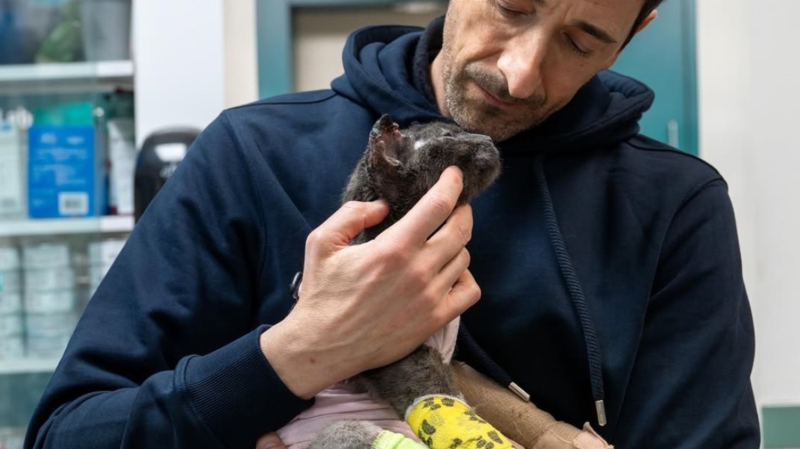 Έιντριεν Μπρόντι: Η άγνωστη ιστορία της φωτογραφίας του αγκαλιά με μια γάτα με σοβαρά εγκαύματα