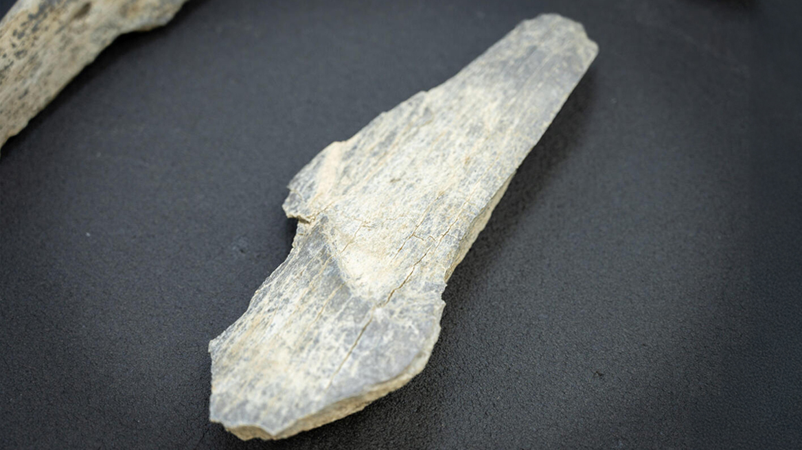 Βρέθηκαν τα αρχαιότερα οστέινα εργαλεία στην Τανζανία – Χρονολογούνται πριν από 1,5 εκατ. χρόνια