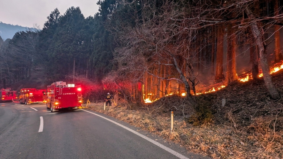 Ιαπωνία: Η χειρότερη δασική πυρκαγιά των τελευταίων 50 ετών τέθηκε υπό έλεγχο